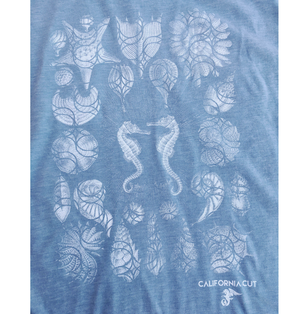 Seashells & Seahorses