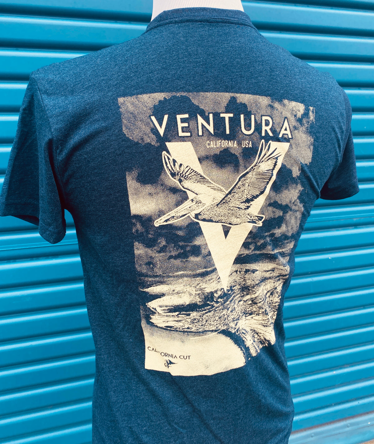 Ventura Pelican