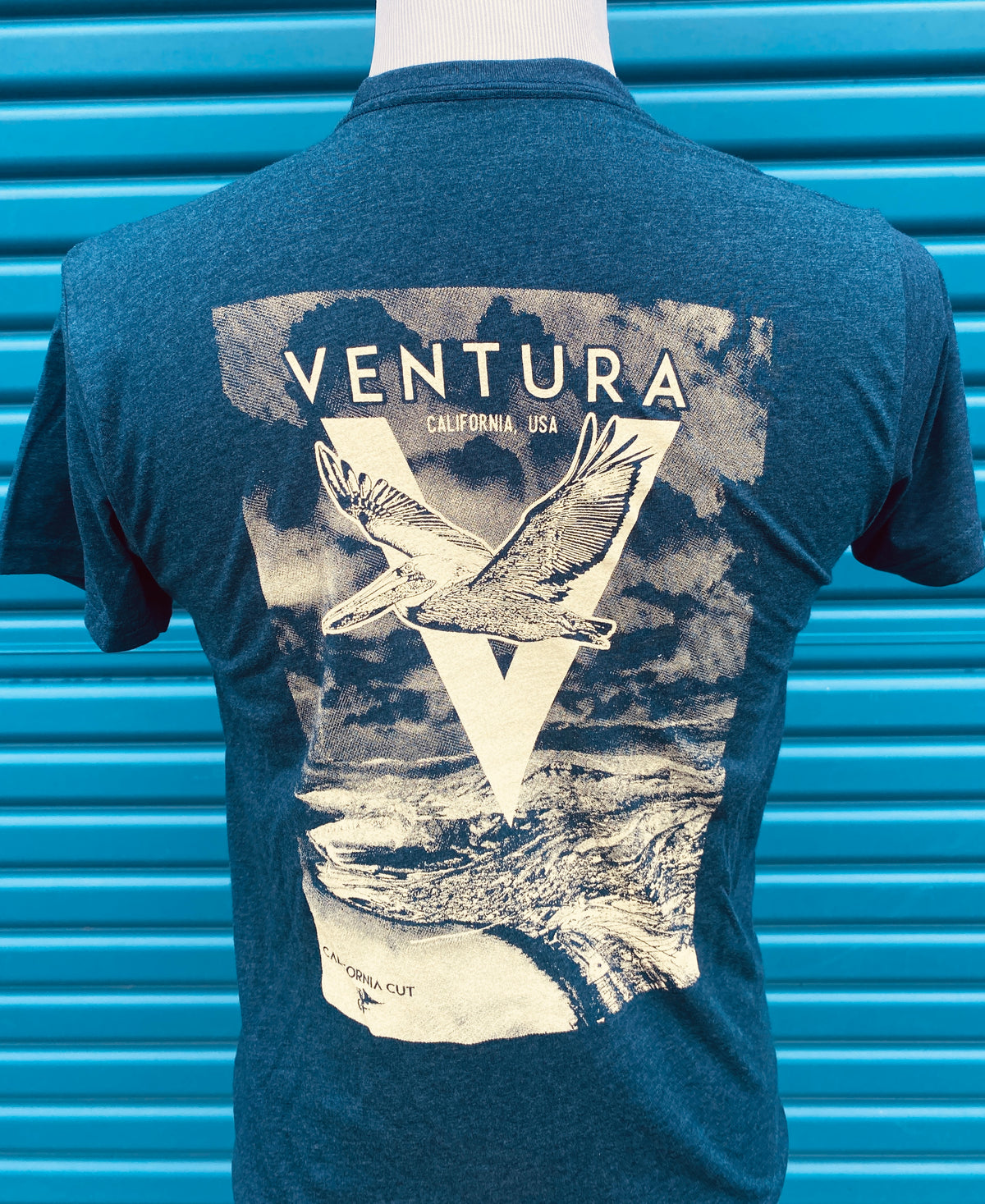 Ventura Pelican