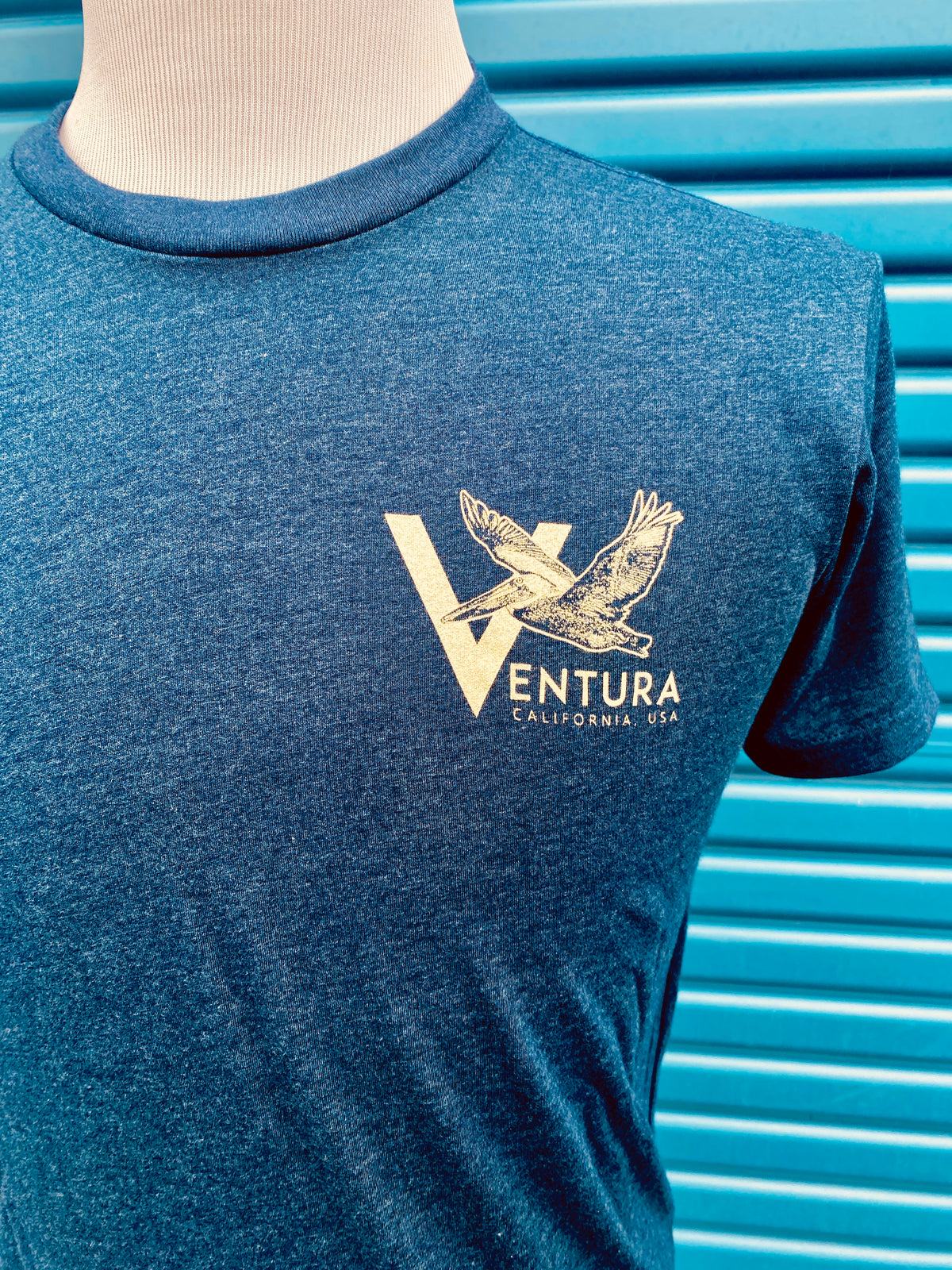 Ventura Pelican