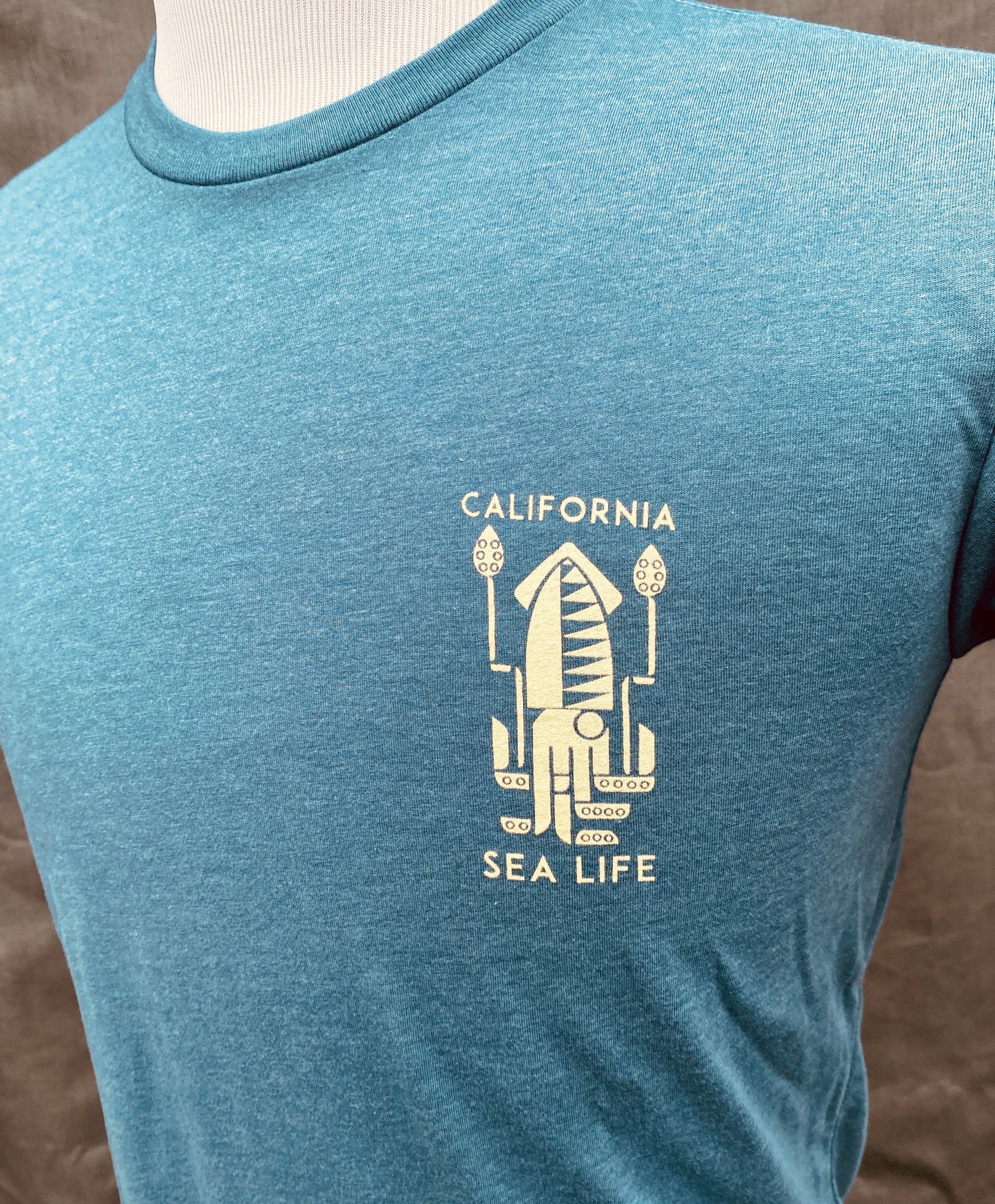 California Squid and Sealife